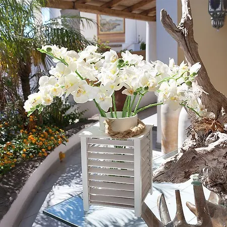 Oasi Hotel 4*