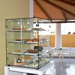 Oasi