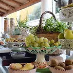 Oasi