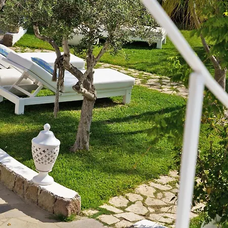 Hotel Oasi 4*
