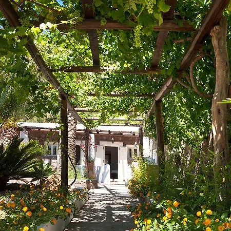Hotel Oasi 4*